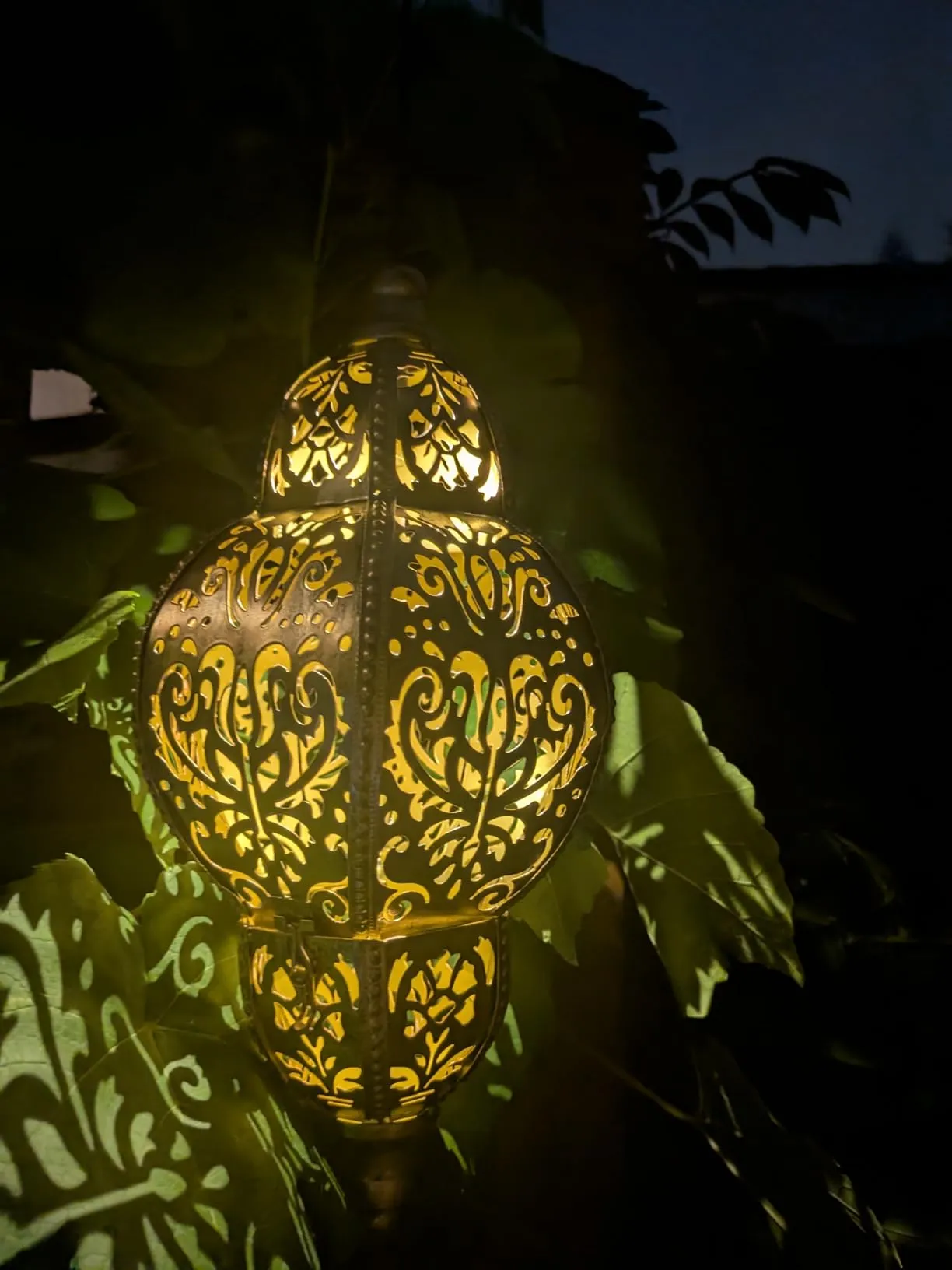 Beautiful, low-maintenance, and durable. Creates amazing patterns on nearby objects