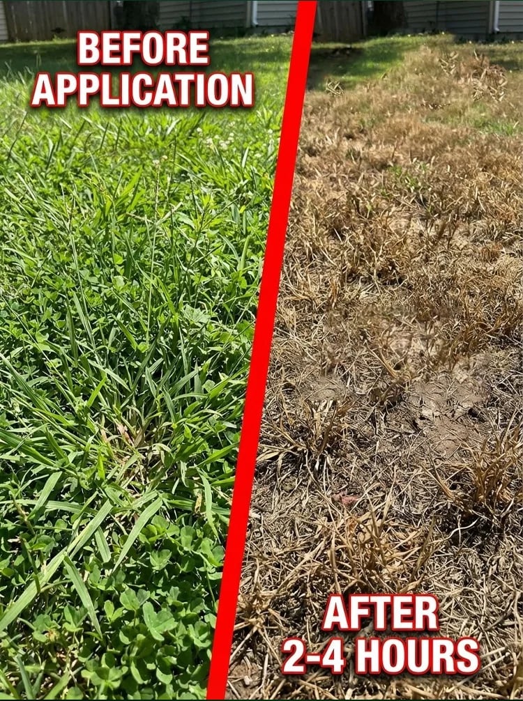 🔥Flash Sale⚡ 50K+ SOLD! Almost Gone-🔥Herbicide and root rot control agent