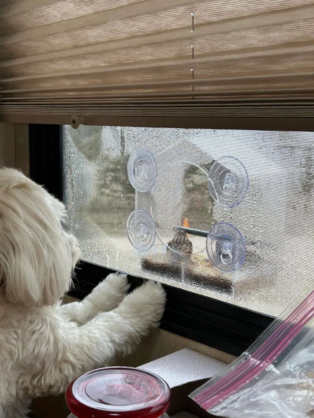 Great bird feeder, have it on our motorhome window!