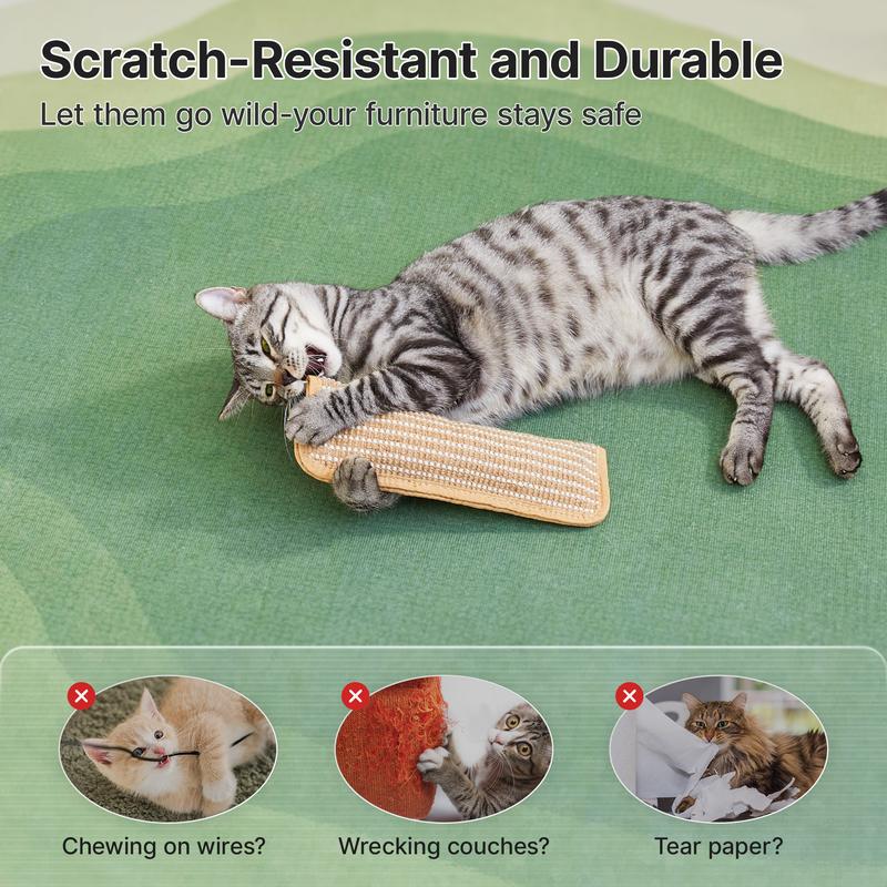Toy prevents cats from scratching furniture